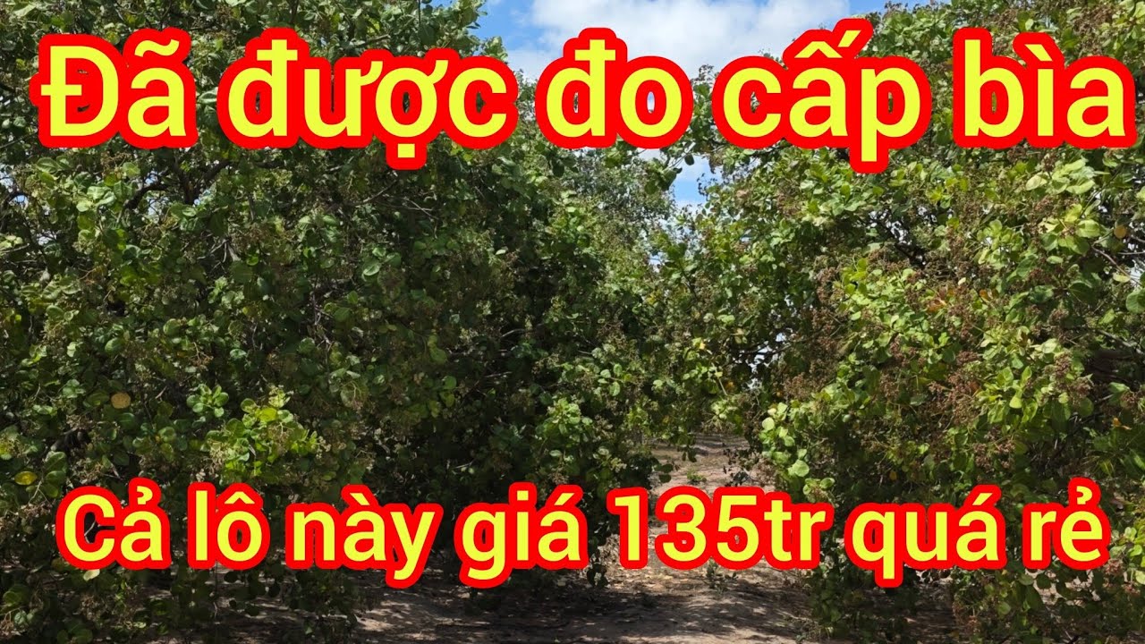 Nhượng cho các canh tác lh 0372791933