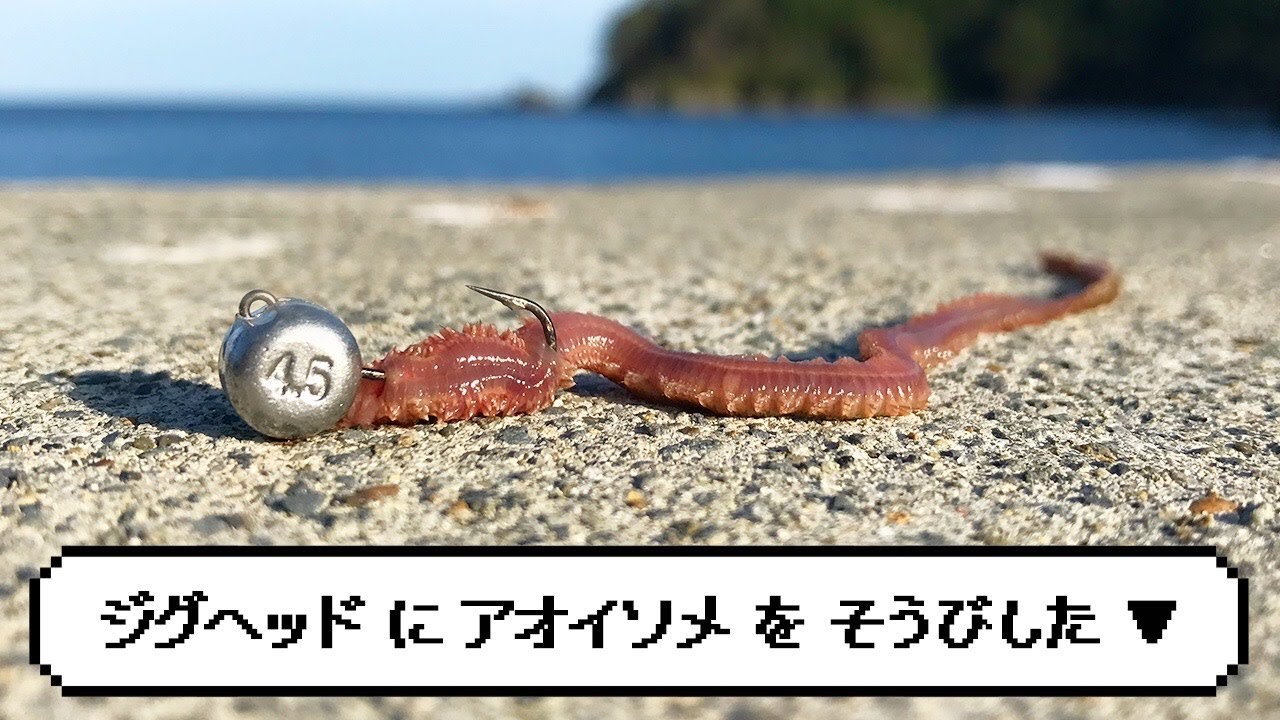 【虫ヘッド】ジグヘッドに青イソメ付けたら最強じゃね？