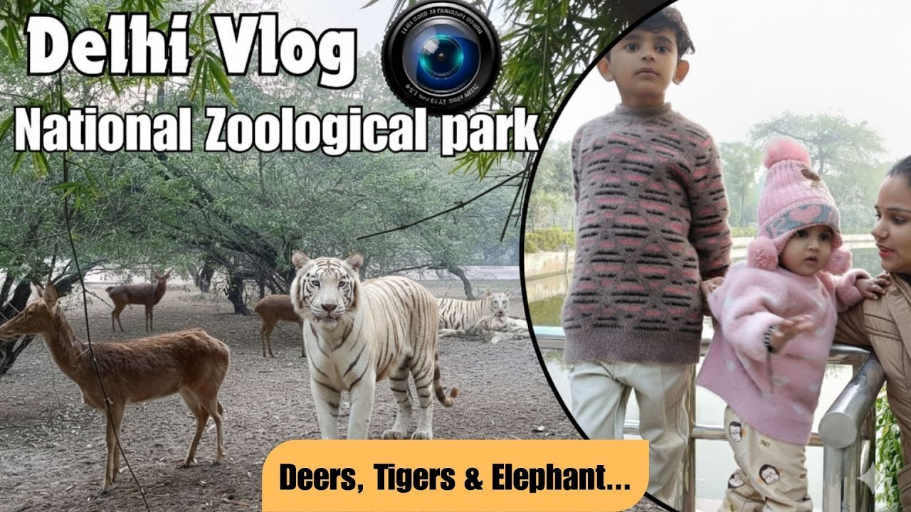 Urban Jungle Escape! National Zoological Park, Delhi Vlog!