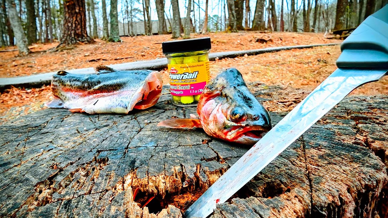 FISHING and HIKING the Sauratown Mountains in North Carolina!