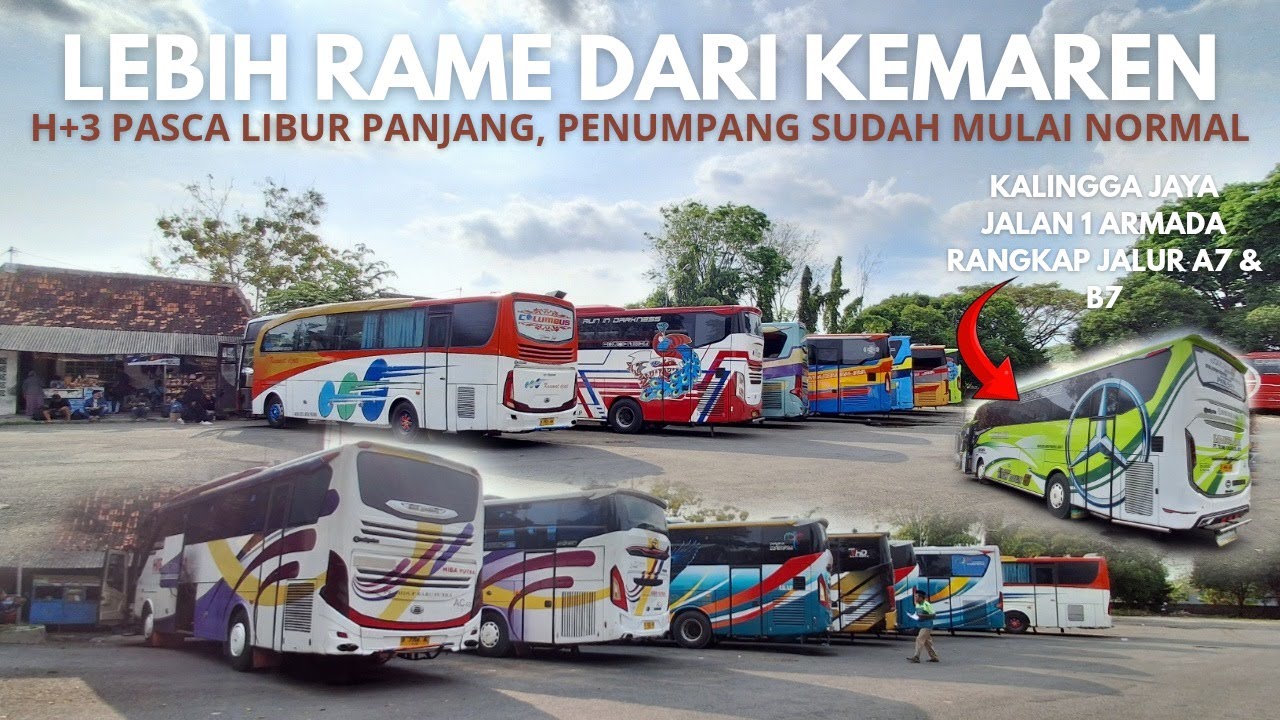 Absenin Puluhan Bus Jalur Tengah ‼️ 8 Unit Berlian Jaya Full Seat Semua