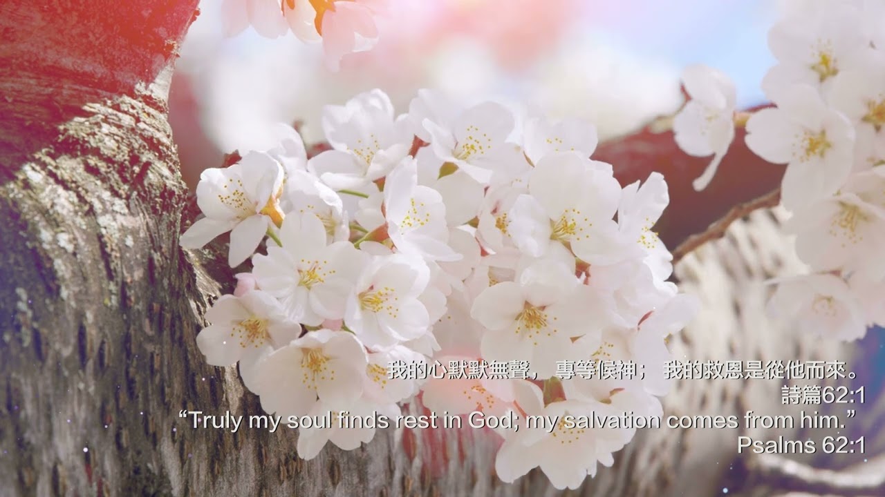 等候神音樂 Wait Upon God Soaking Music 2022 Episode 3
