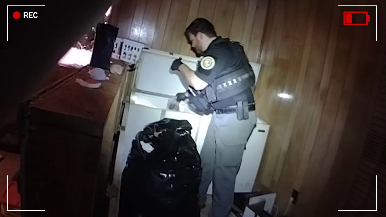 Cops Find 24 Dead Cats In House of Horrors