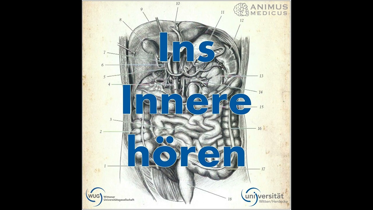 Ins Innere hören - Magengeschwür