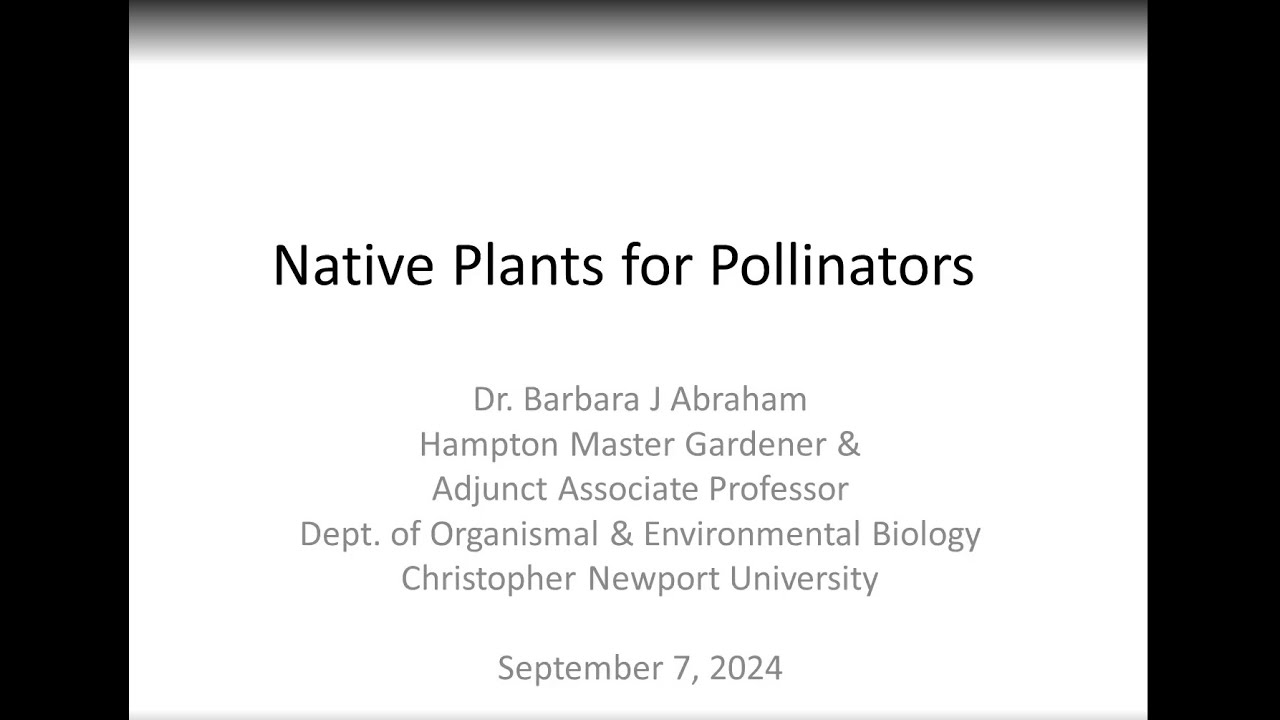 Native Plants for Pollinators in Hampton Roads