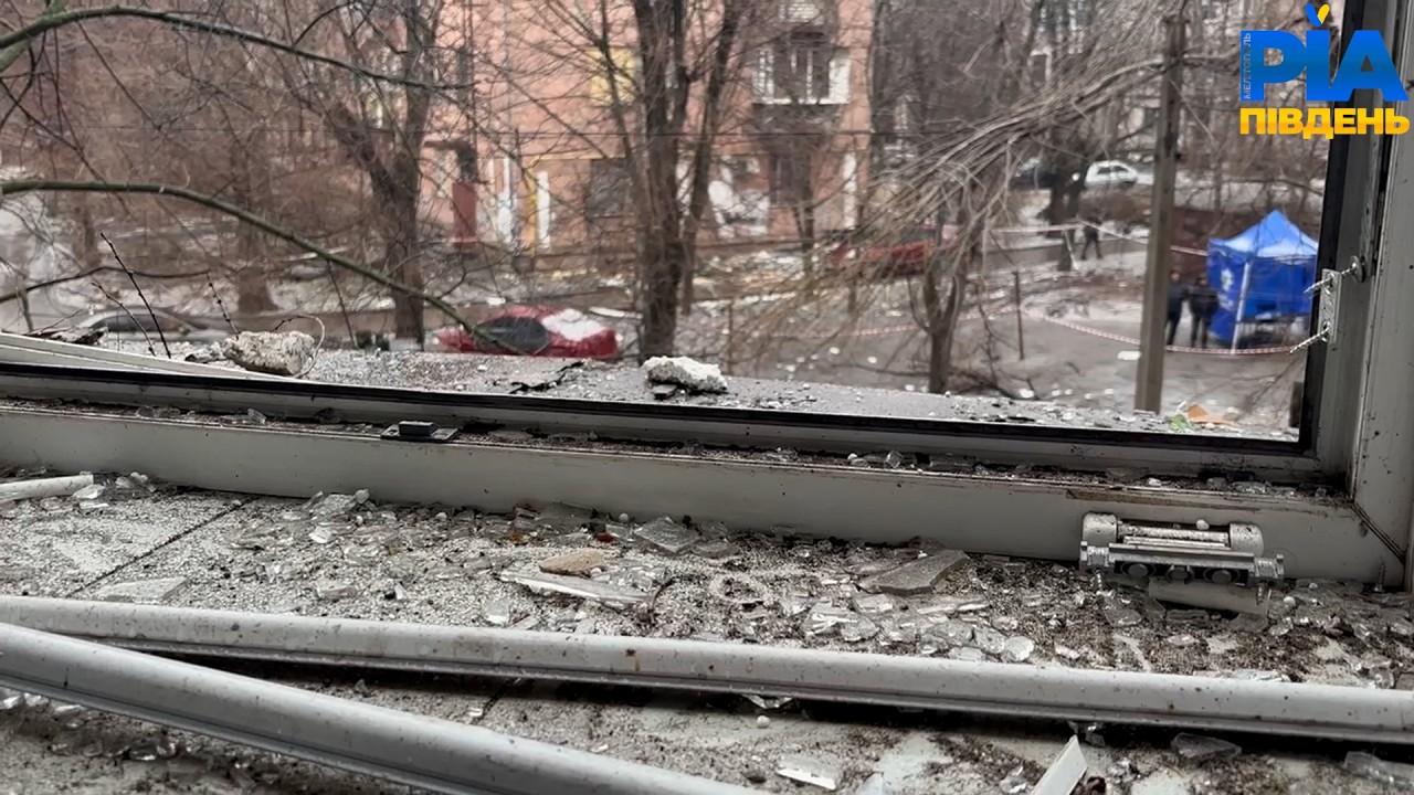 Дерево врятувало будинок - у Запоріжжі «шахед» зачепив гілки та вибухнув поруч