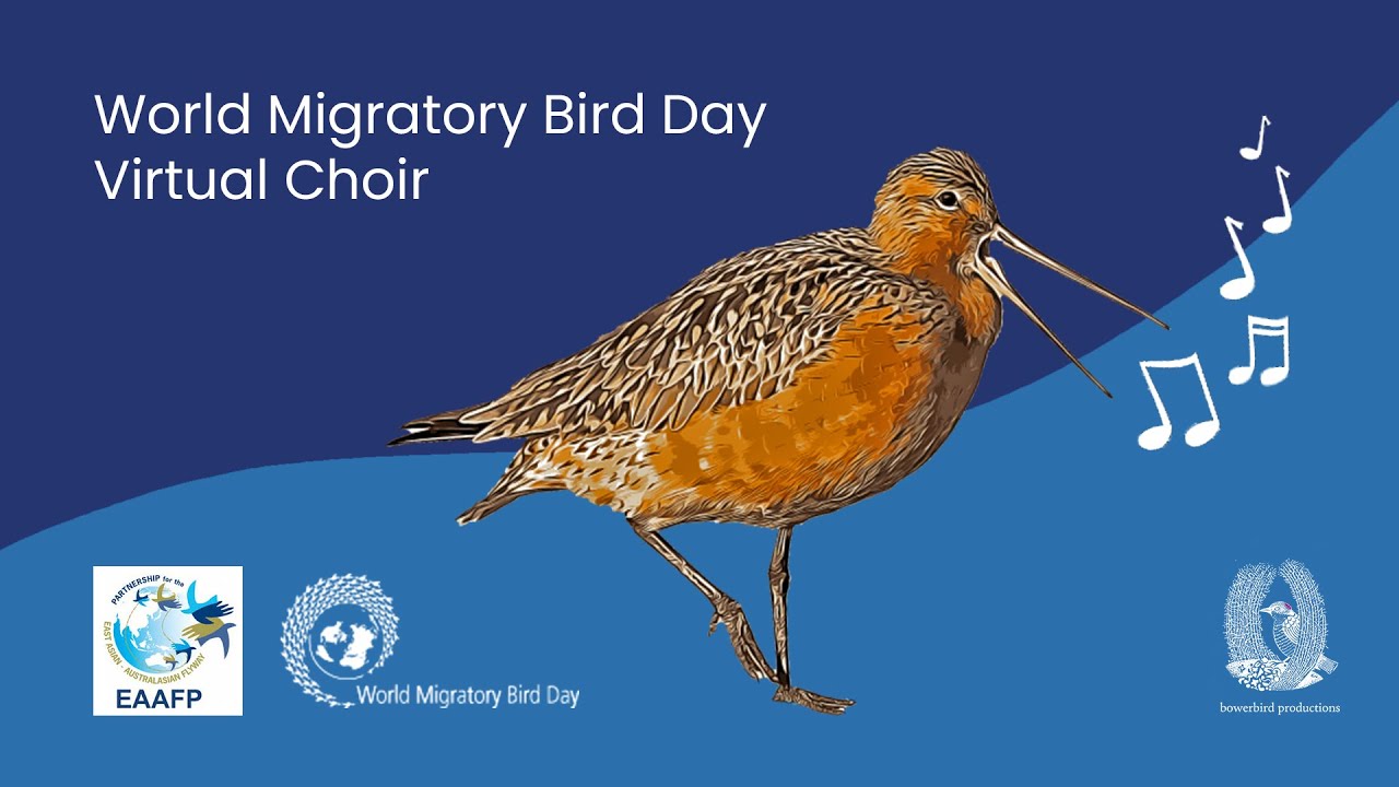 World Migratory Bird Day | Virtual Choir | 2021