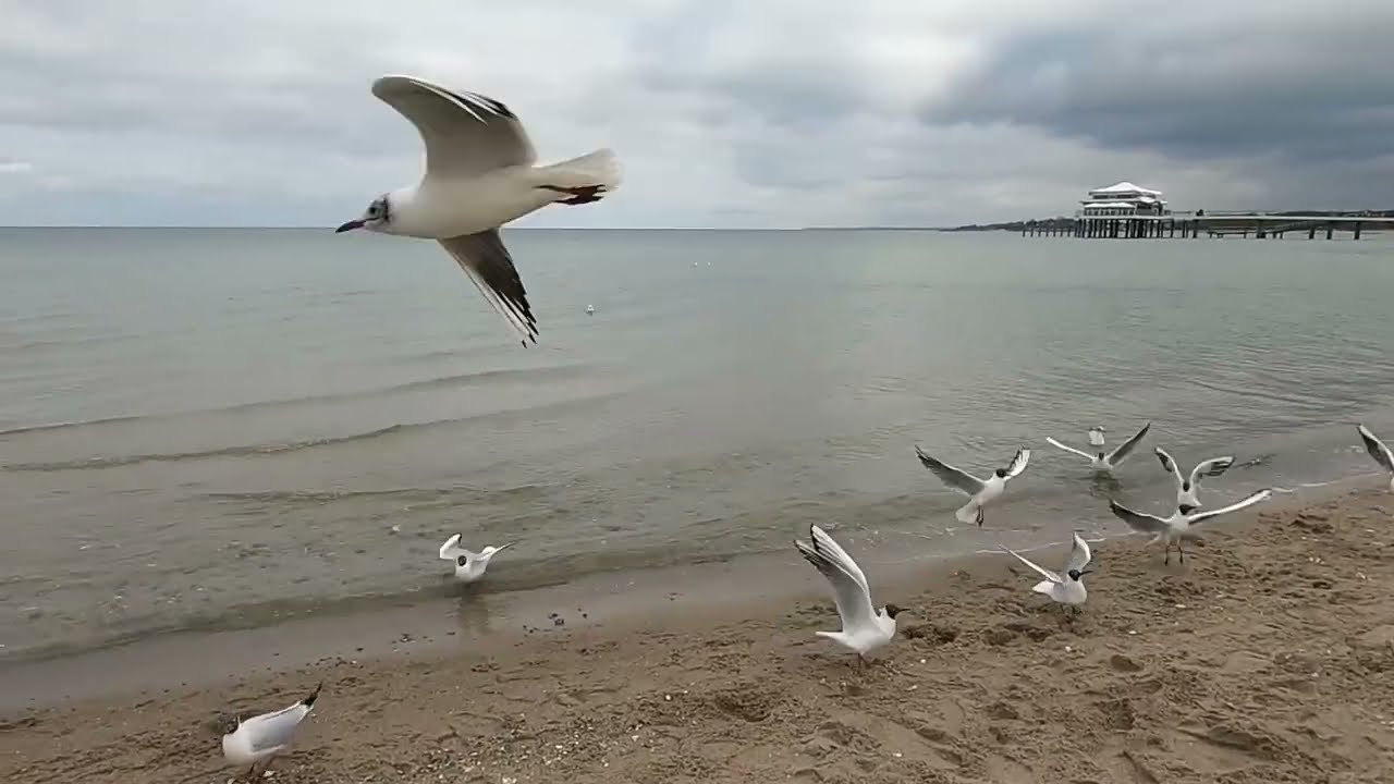 Германия Timmendorfer Strand