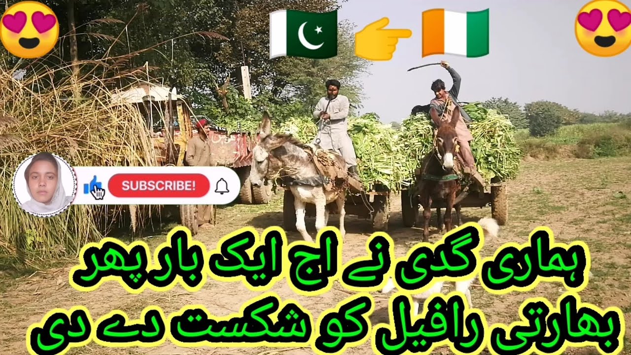 ہماری گدی نے ایک بار پھر بھارتی رافیل کو شکست دے دی🇵🇰👉🇨🇮