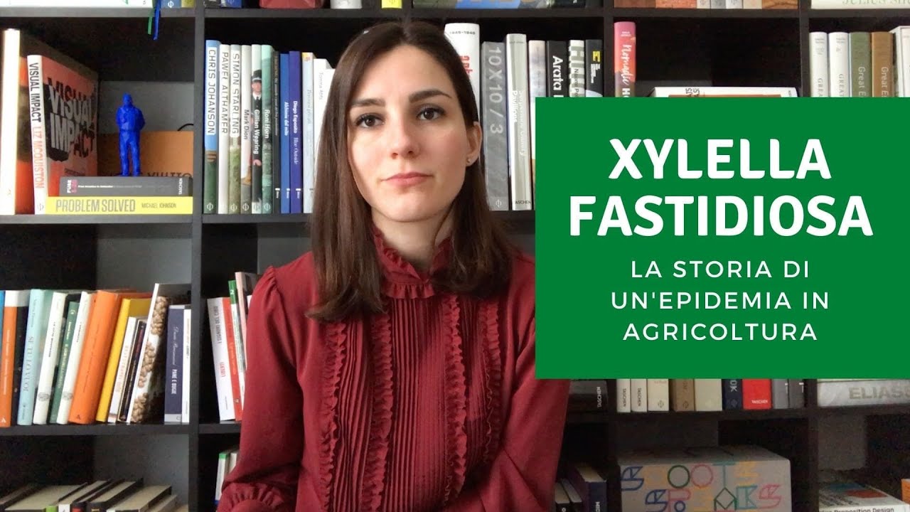 Xylella Fastidiosa: la storia di un'epidemia in agricoltura