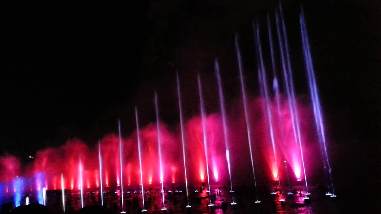 DISNEY CALIFORNIA ADVENTURE NEW YEARS  2014