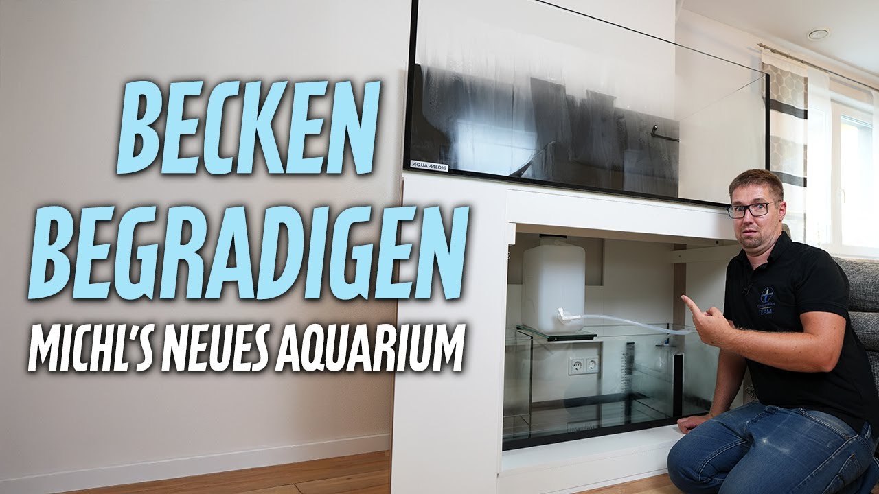 SO verteilt Michl PERFEKT die Last seines neuen Beckens! - PlanktonPlus Aquaristik