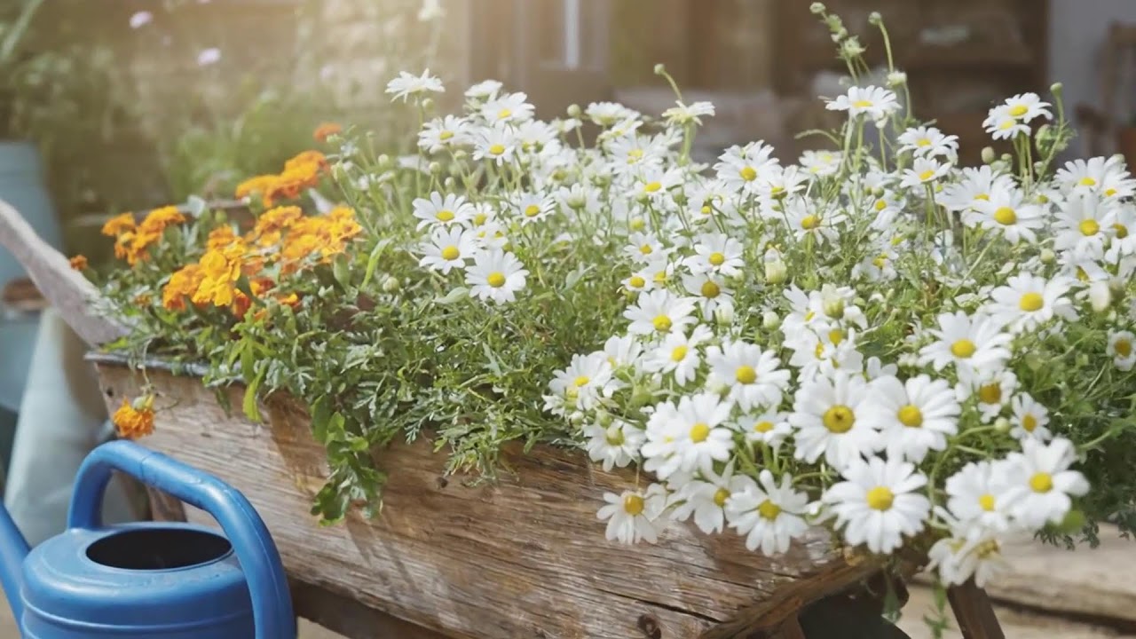 Creative Reclaimed Decor to Personalize Your Rustic Farmhouse Backyard Garden