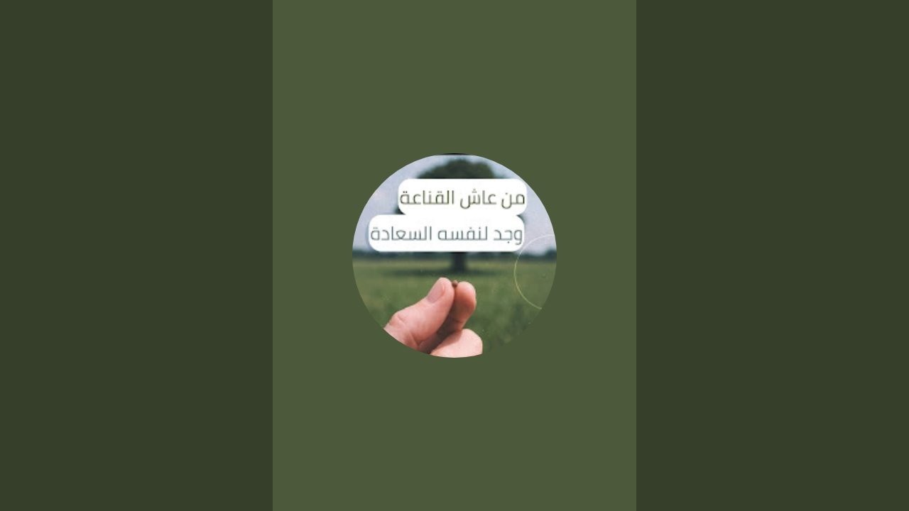 خناقة مووووت