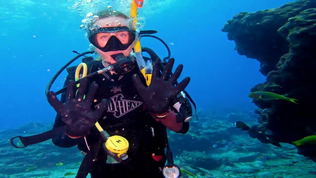 Flinders Reef Morton Island Queensland