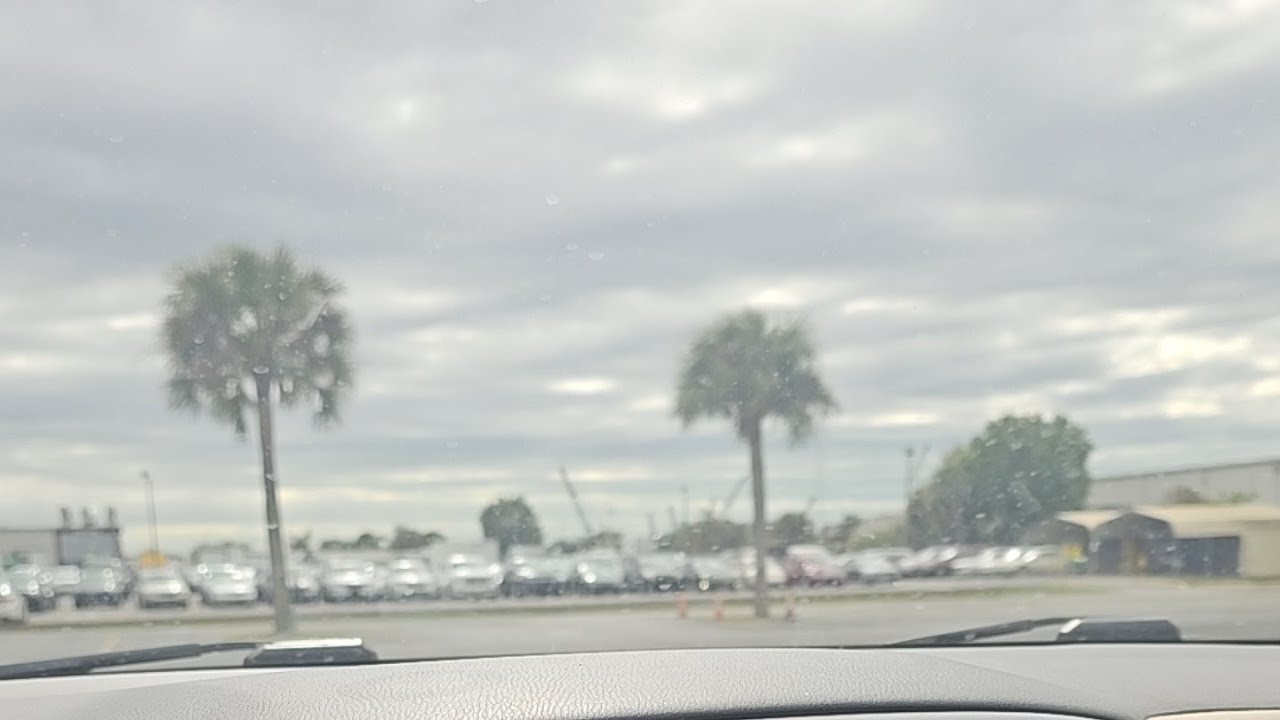 Mi día en la subasta de carros