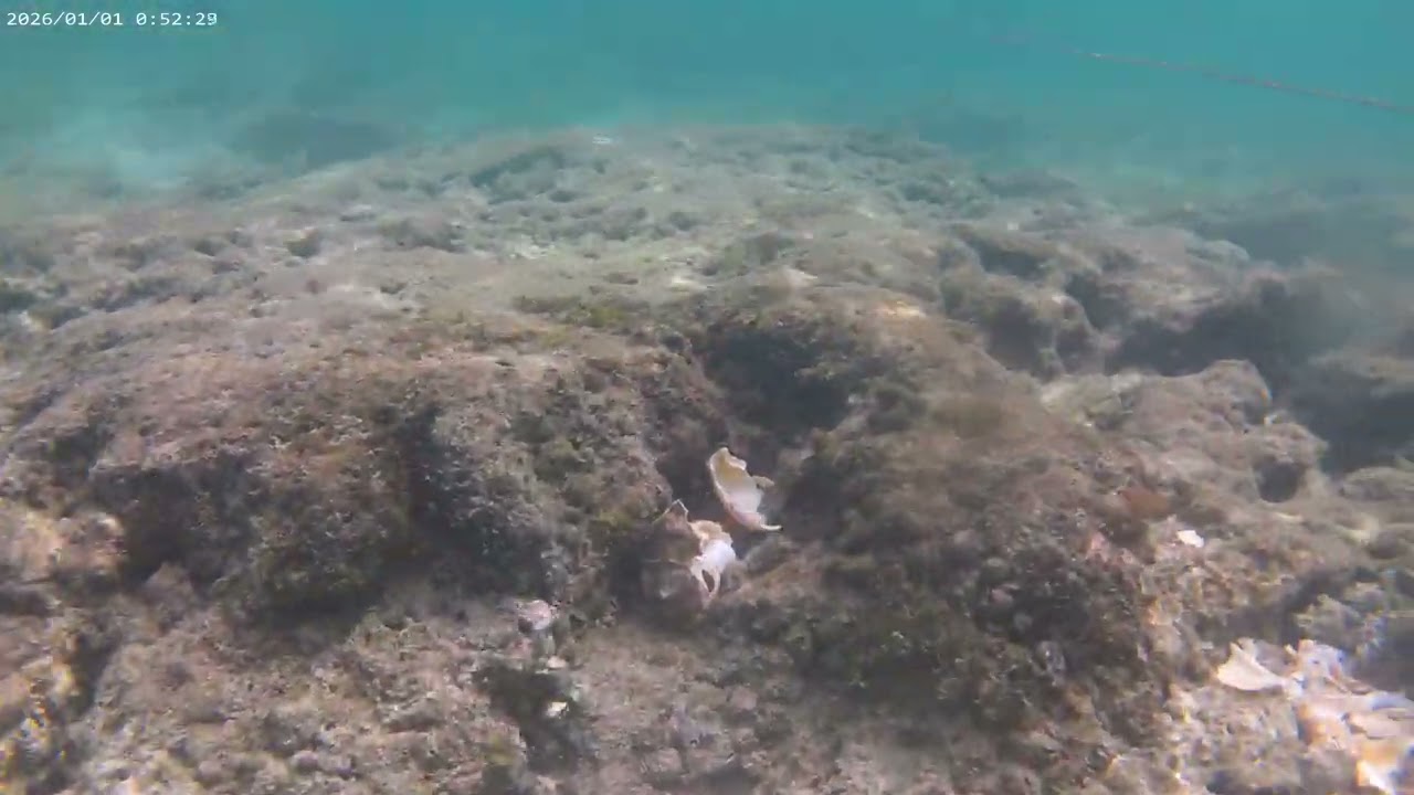  Under Seawater In Lipayran Island January 2, 2026 #lipayranisland #beach #underseawater 