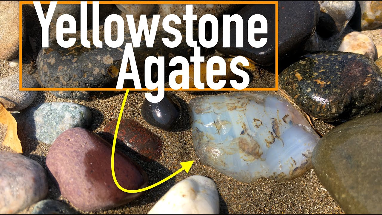 Why They Call it the "Treasure State" | Gemstone Hunting for Yellowstone River Agates in Montana