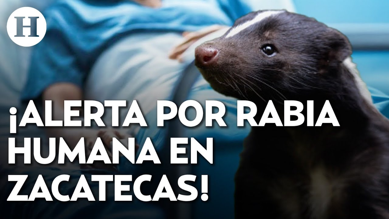 ¿Cuáles son los síntomas de la rabia? Confirman primer caso en humanos después de casi 4 décadas