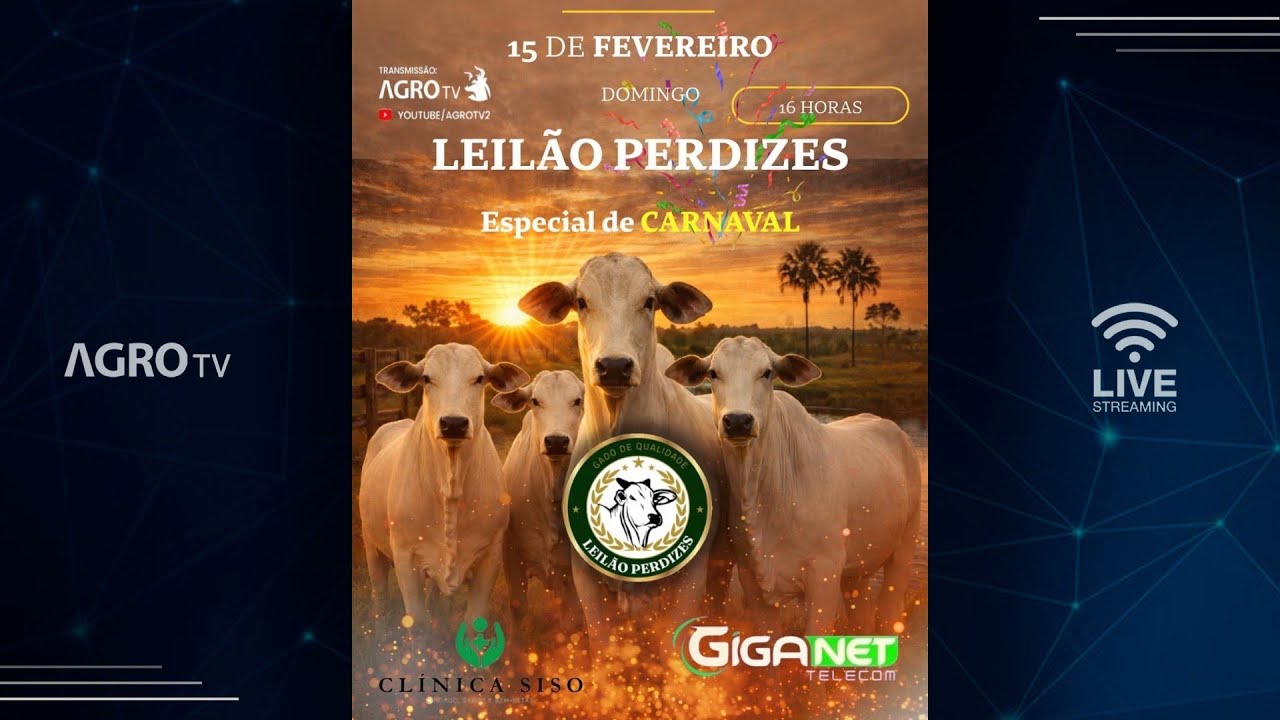 LEILÃO PERDIZES - 15/02/2026
