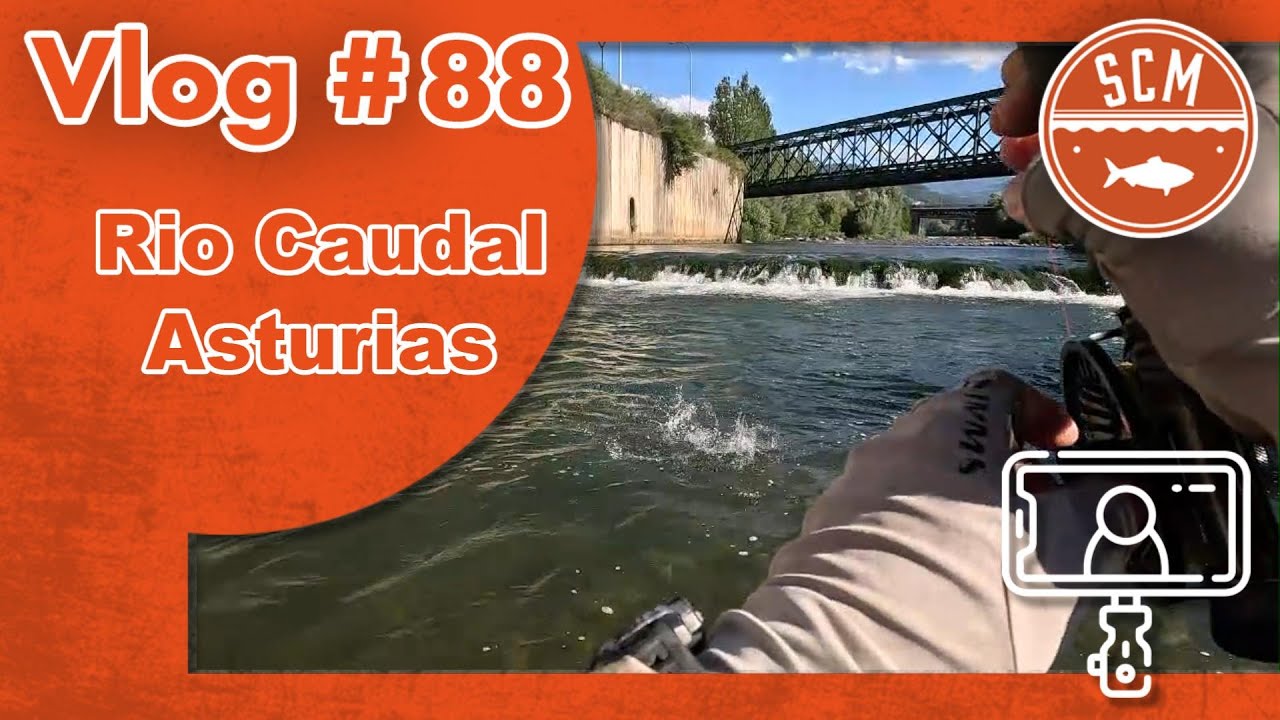 Rio Caudal: Pescando en zona libre sin muerte - Vlog #88