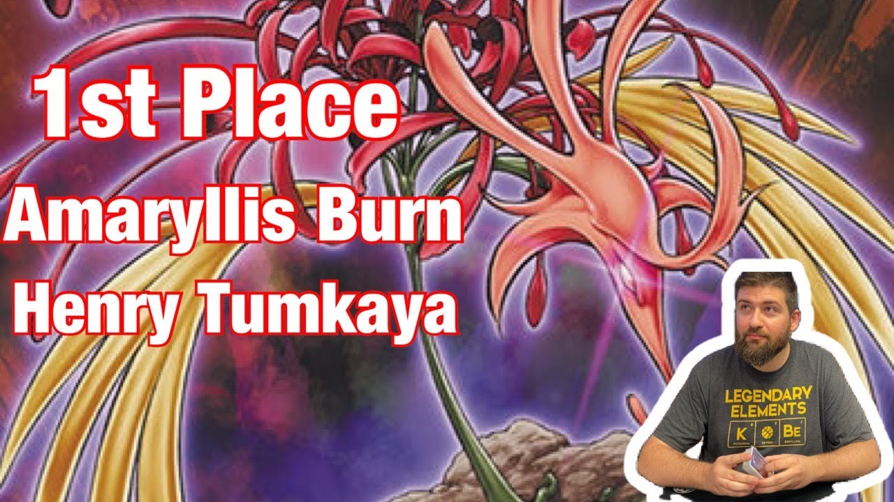 1st Place Amaryllis Burn Edison Format by Henry Tumkaya!