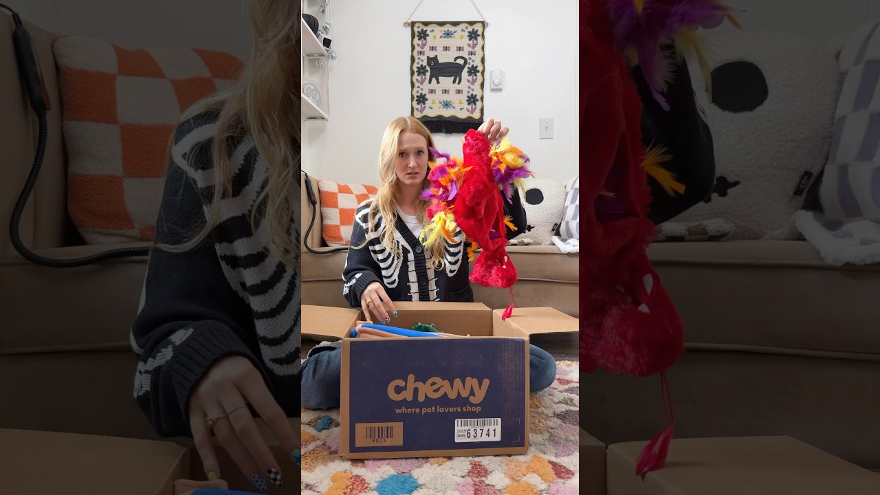I Got My Cats Halloween costumes from @Chewy #chewypartner #pets #cats #sphynx #halloween