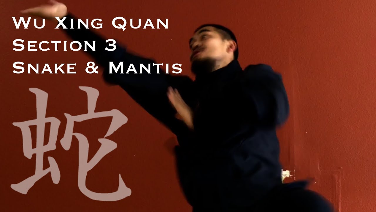 Five Animal Fist Tutorial | Section 3- Snake & Mantis