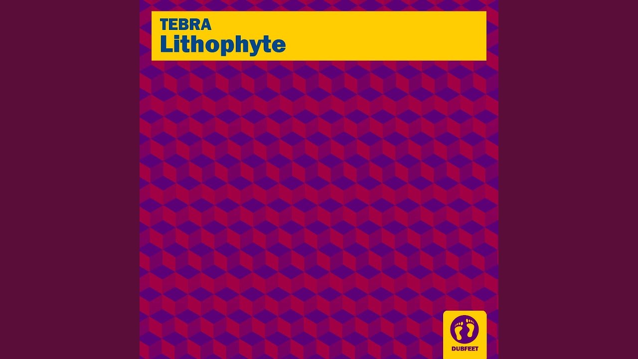 Lithophyte