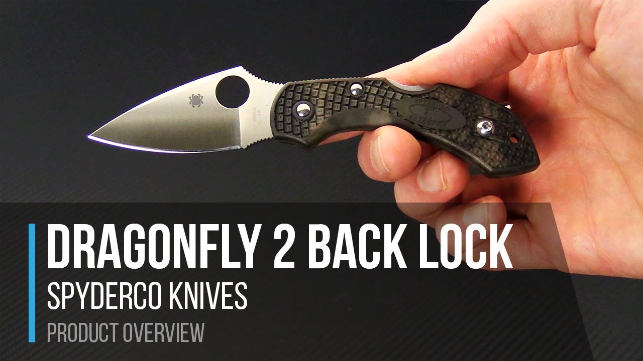 Spyderco Dragonfly 2 Ultralight EDC Folder Overview