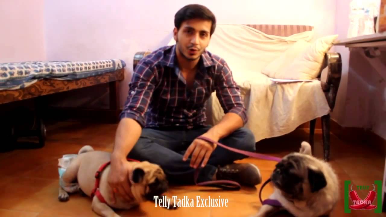 Param Singh talks about his dogs