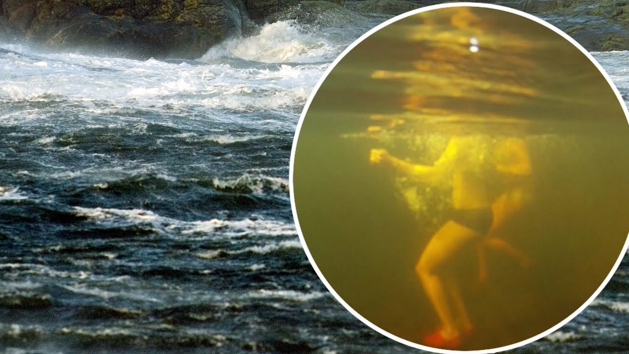 30 meter l&aring;ngt havsdjur oroar V&auml;stkusten | Nyhetsmorgon | TV4 & TV4 Play
