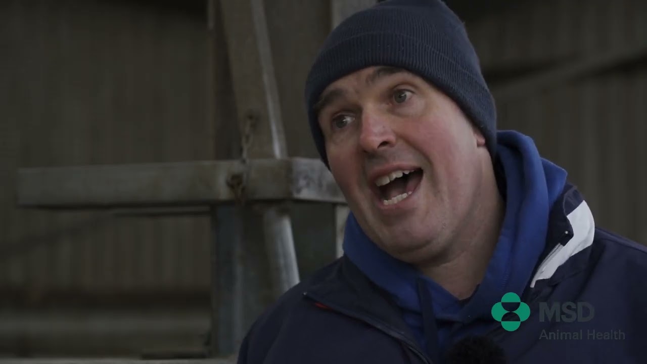 Controlling Leptospirosis in Co. Kilkenny