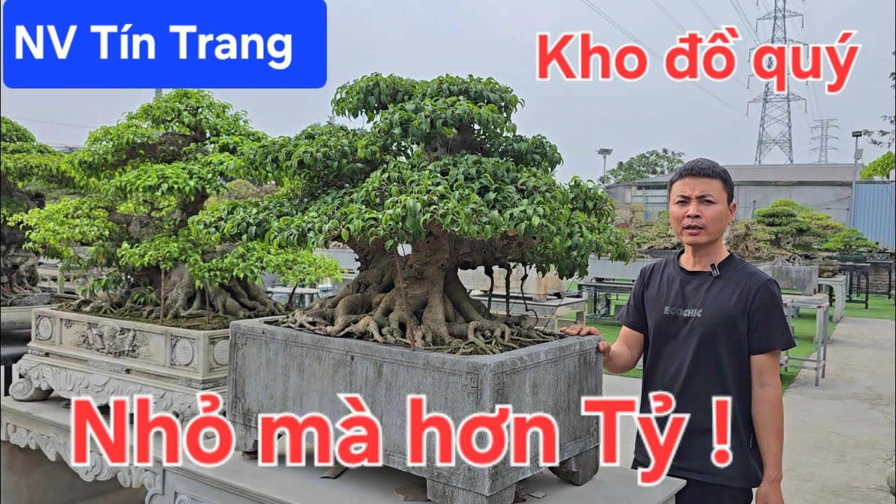 Chiêm ngưỡng kho đồ quý của em Tín Trang .Nhỏ mà tiền tỷ 