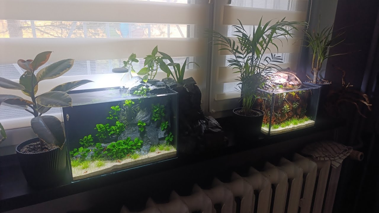 Nano Akwaria - Prezentacja zbiornik&oacute;w 