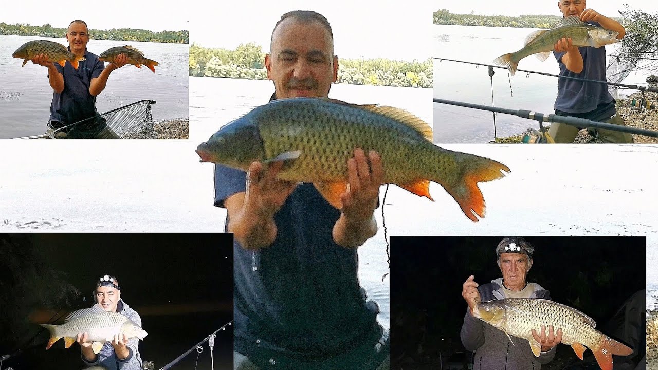 4 dana na pecanju!Šaran,deverika,babuška..i konačno, smudj! 😃