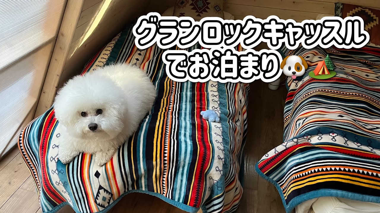 【犬とお出かけ】自然満喫！グランロックキャッスルに行ってきた🐾⛰️