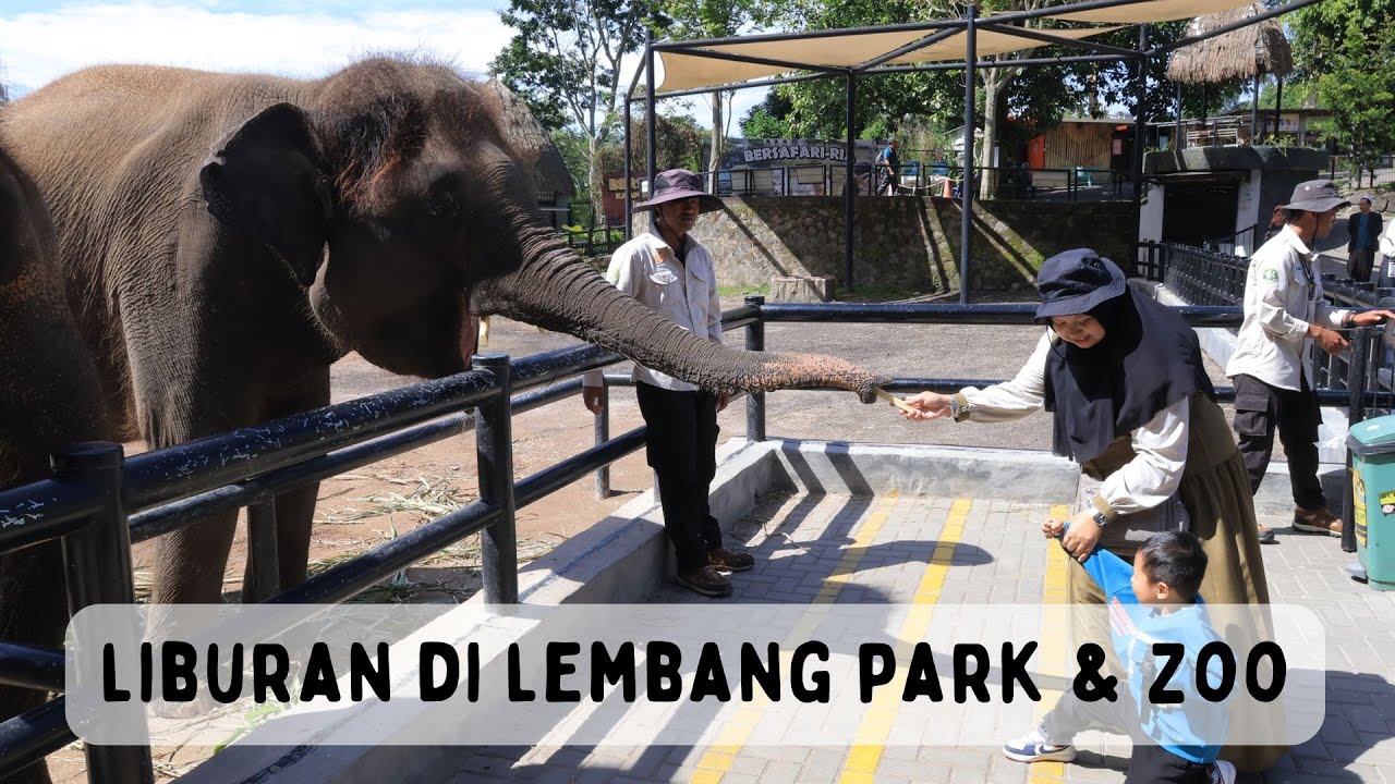 Liburan di Lembang Park & Zoo