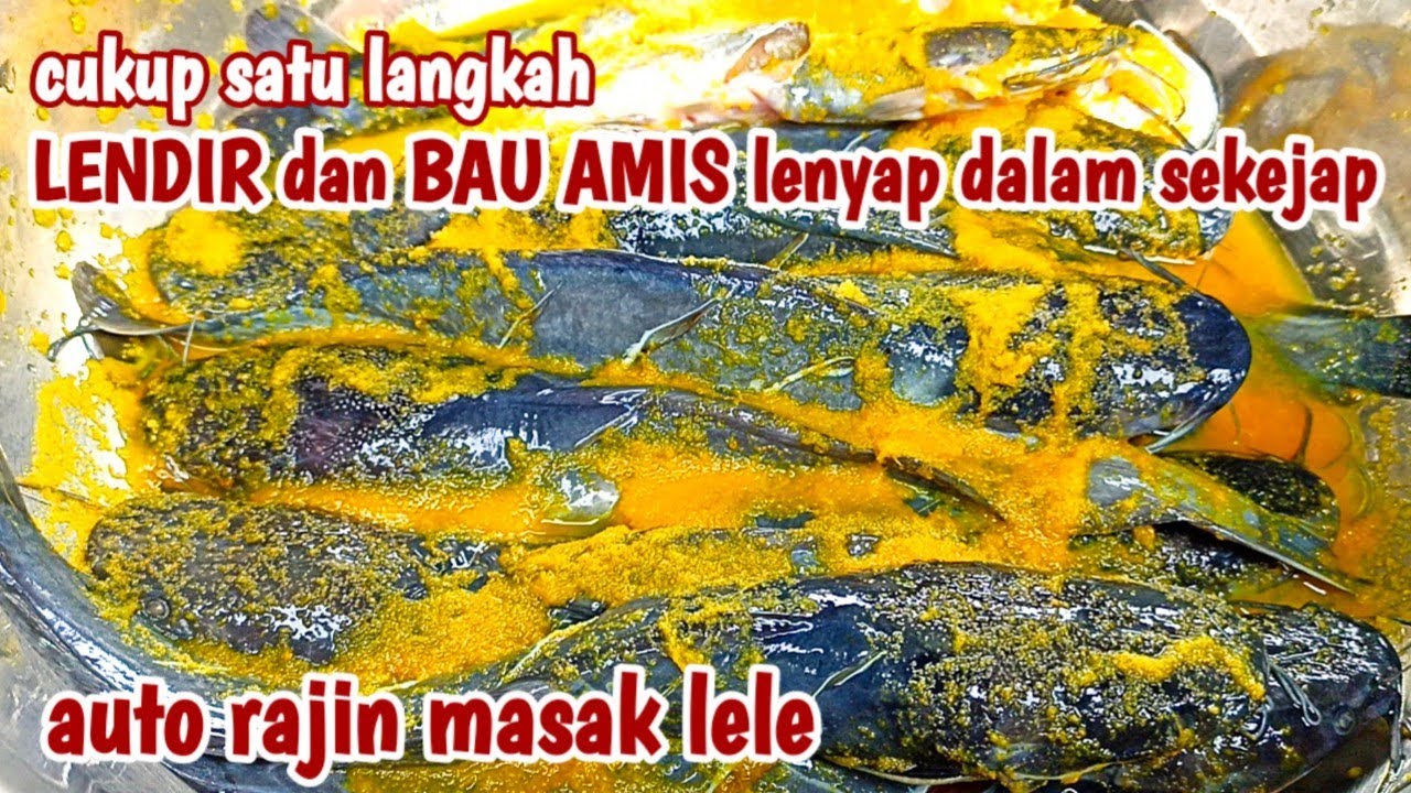 CARA DAN TIPS MBAK TAMI MENGHILANGKAN LENDIR DAN BAU AMIS PADA LELE UTK JUALAN - @MasakanMbakTami