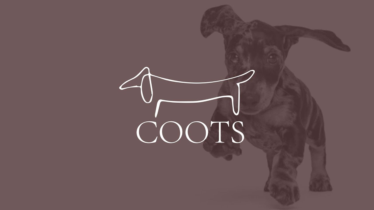 Coots explains the differences between the Miniature & Standard Dachshund