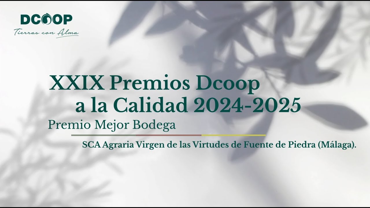 XXIX Premios Dcoop a la Calidad: Calidad del Aceite de Oliva Virgen (Mejor bodega)