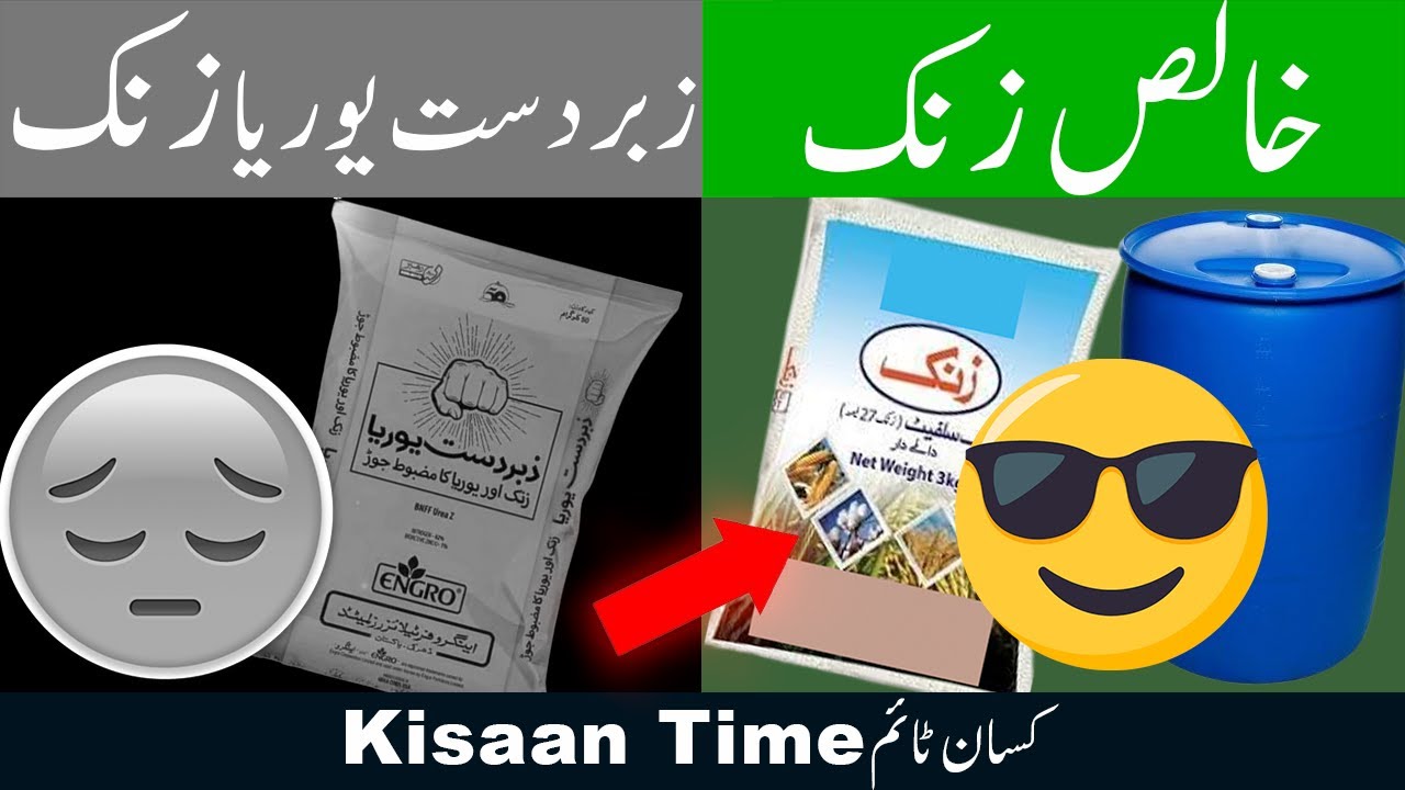 Best zinc fertilizer for crops زنک کھاد، زبردست یوریا zabardast urea kisan time kisaan timeکسان ٹائم
