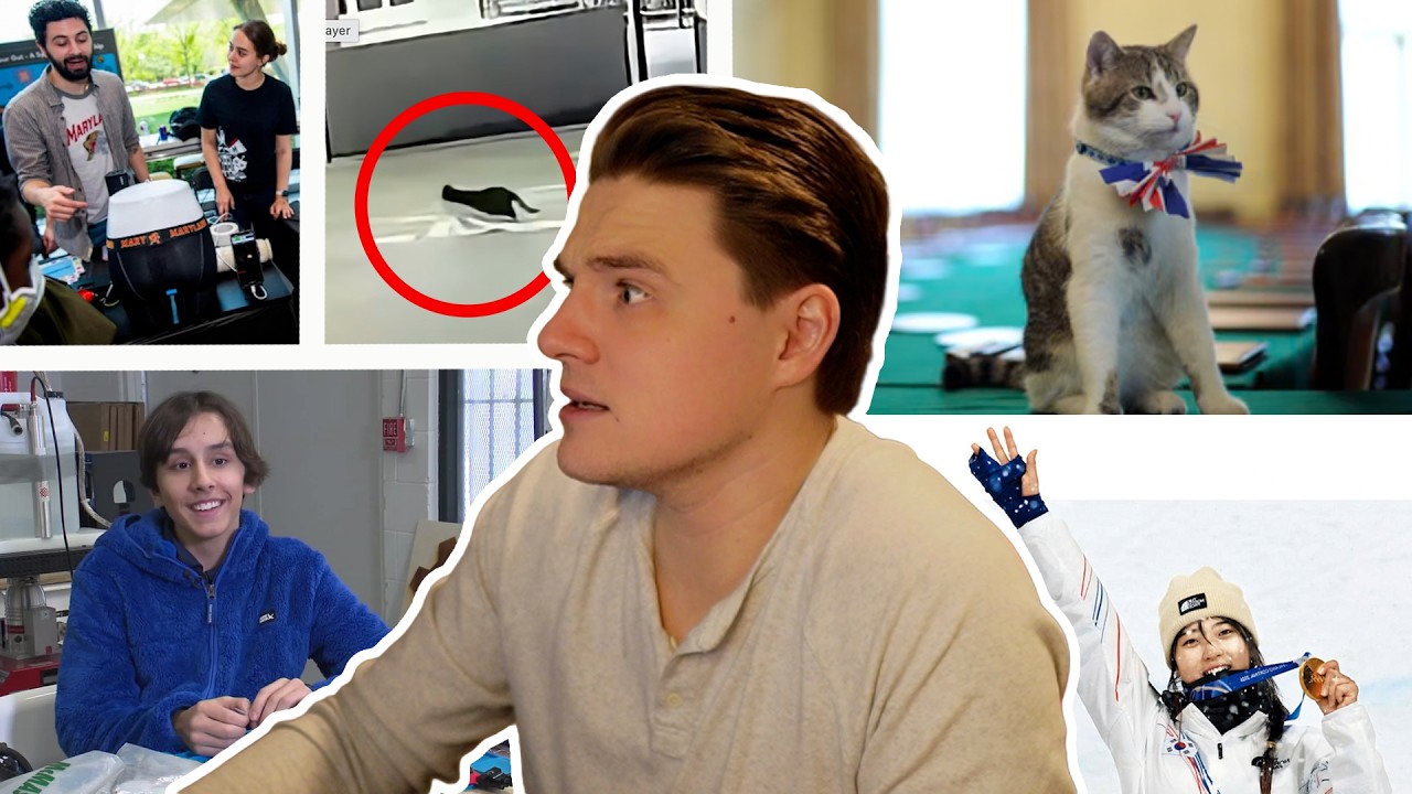 The Highest Ranking Cat in the UK, 12 year old's nuclear fusion, Buddhist Monk snowboards and more!