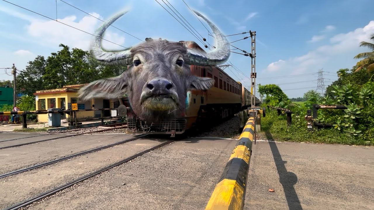 Dangerous Buffalo Headed Malda intercity Furious Dust Storm Skipping Throughout at Railgate 
