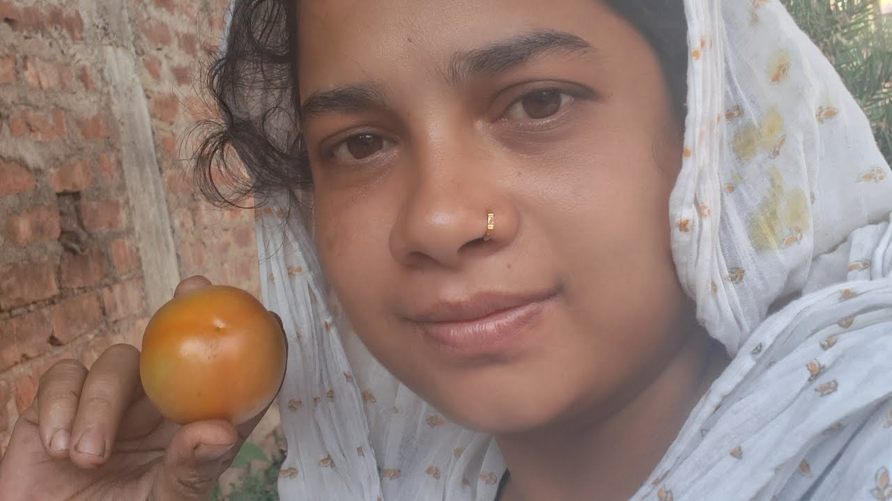 বাগান থেকেই টমেটো তুলে রান্না করলাম #🌳🌳🌳🌴
