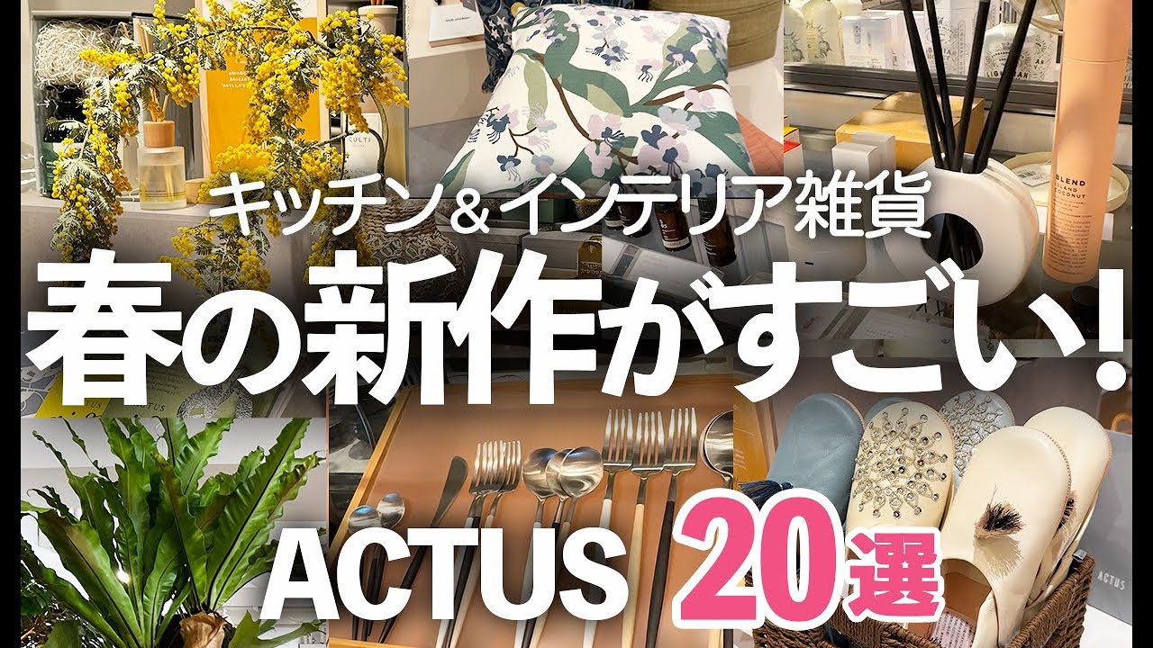 【春のACTUS新作】みんなコレを待っていた！待望のキッチン&インテリア雑貨20選/母の日/観葉植物/アクタス