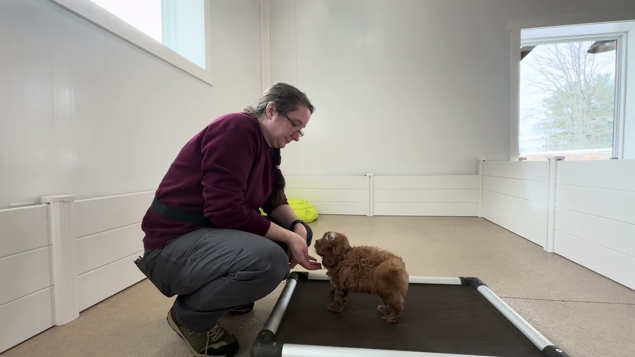 Cooper Training Session 01/02
