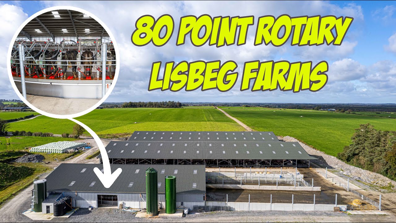 🐄 80 Point Rotary Ireland  | Lisbeg Farm 🐄