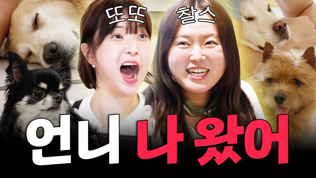 찬미야 구해주러 왔구나!!! 아니 나도 잡혔어… | 개스트하우스 5화