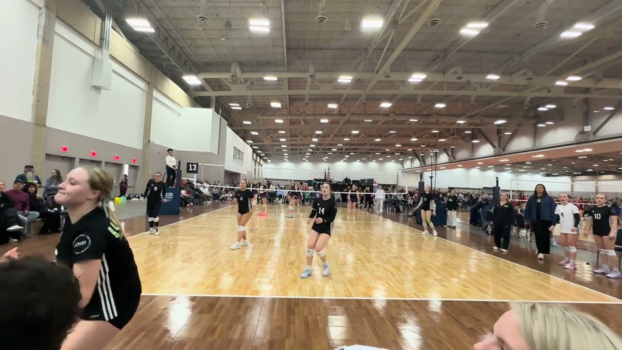 UA Bluegrass D2 M3 S2 - Gold